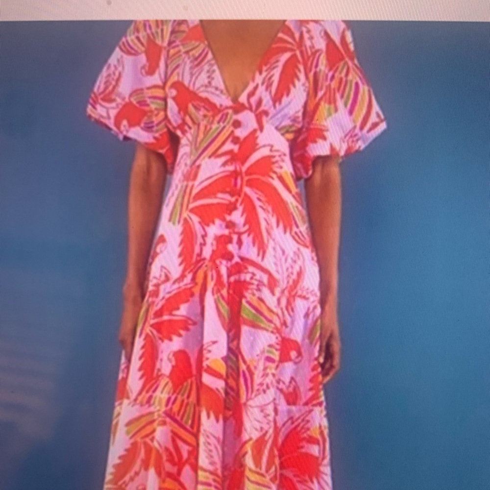 FARM Rio, Lilac Color Birds Midi Dress Size Small